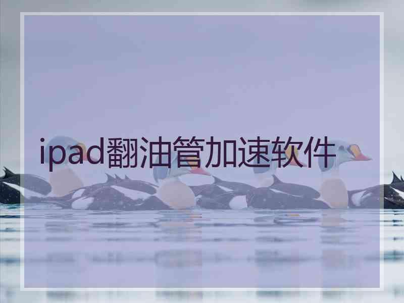 ipad翻油管加速软件