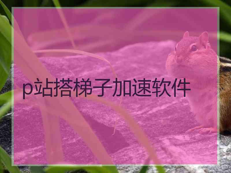 p站搭梯子加速软件