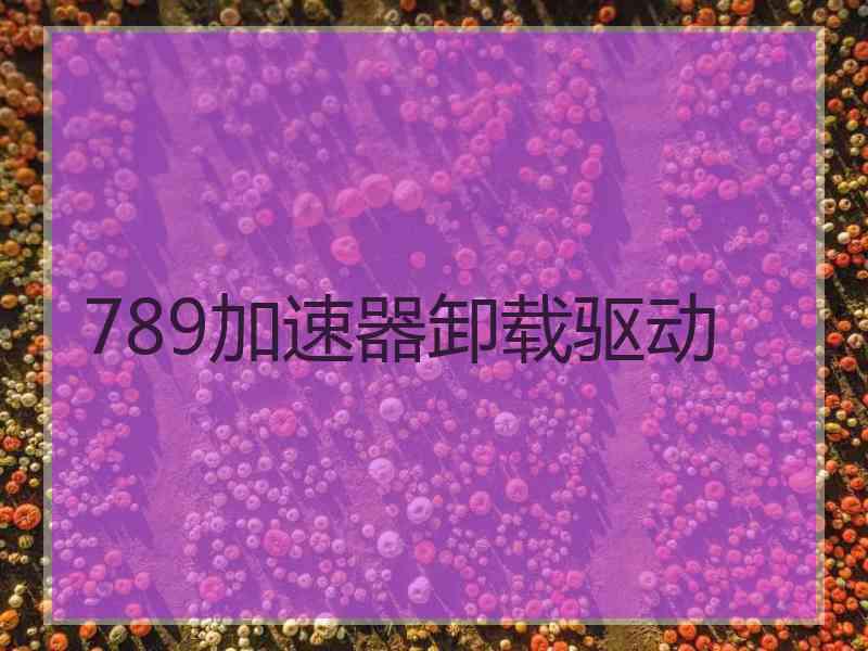 789加速器卸载驱动