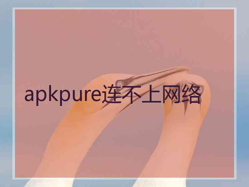 apkpure连不上网络