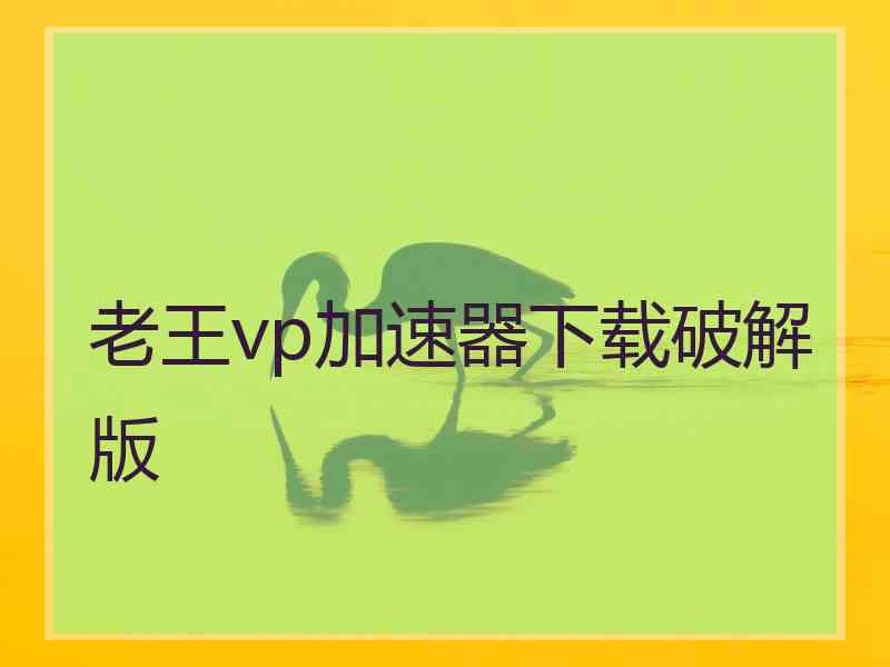 老王vp加速器下载破解版