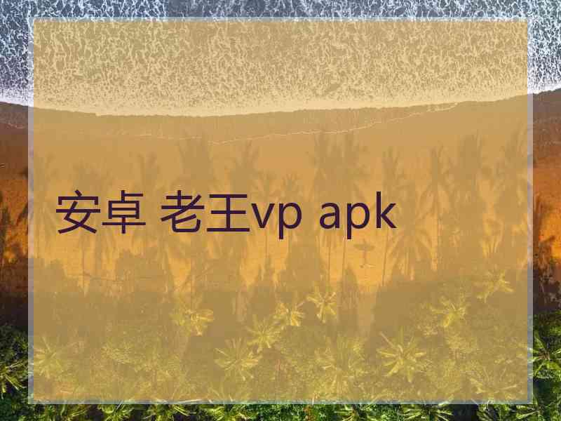 安卓 老王vp apk