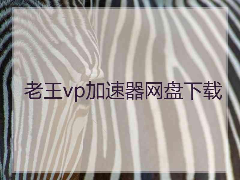 老王vp加速器网盘下载