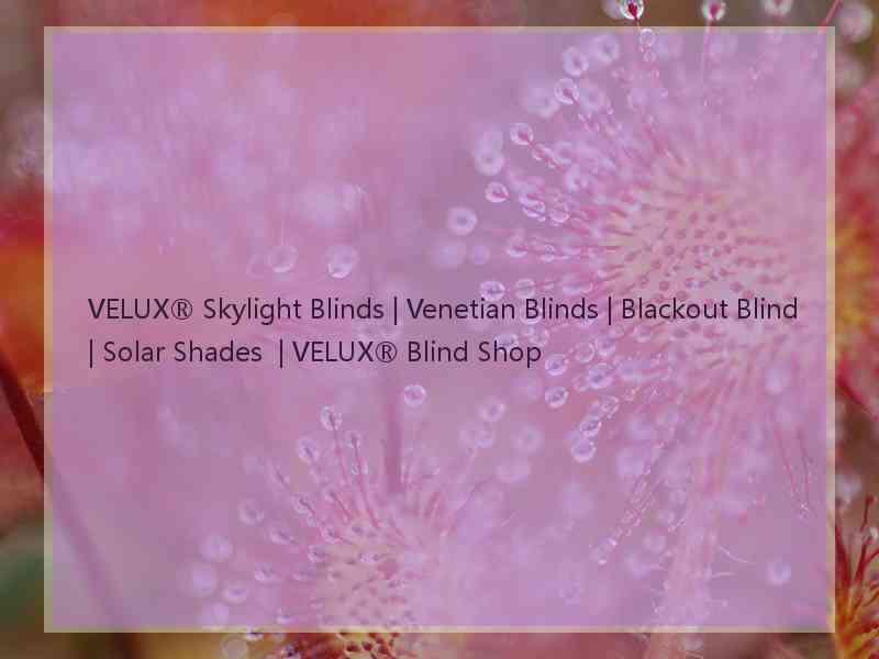 VELUX® Skylight Blinds | Venetian Blinds | Blackout Blind | Solar Shades  | VELUX® Blind Shop