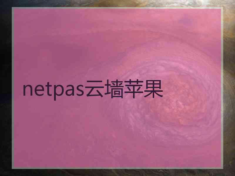 netpas云墙苹果