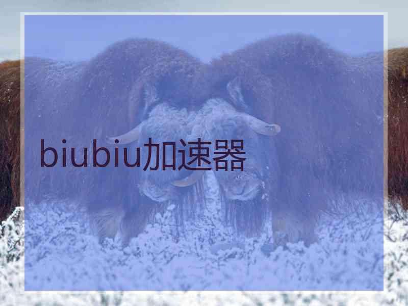 biubiu加速器