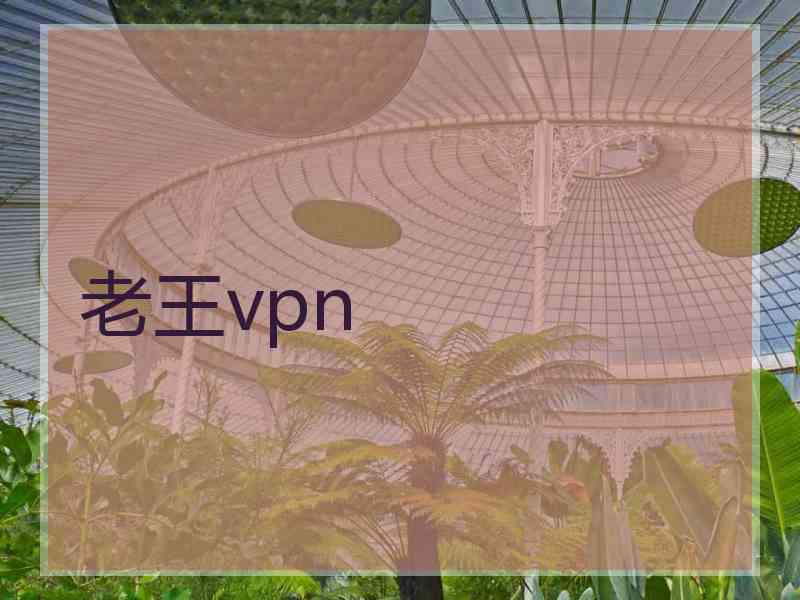 老王vpn