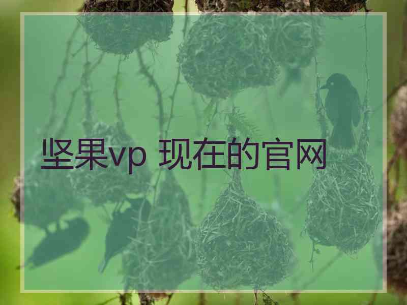 坚果vp 现在的官网