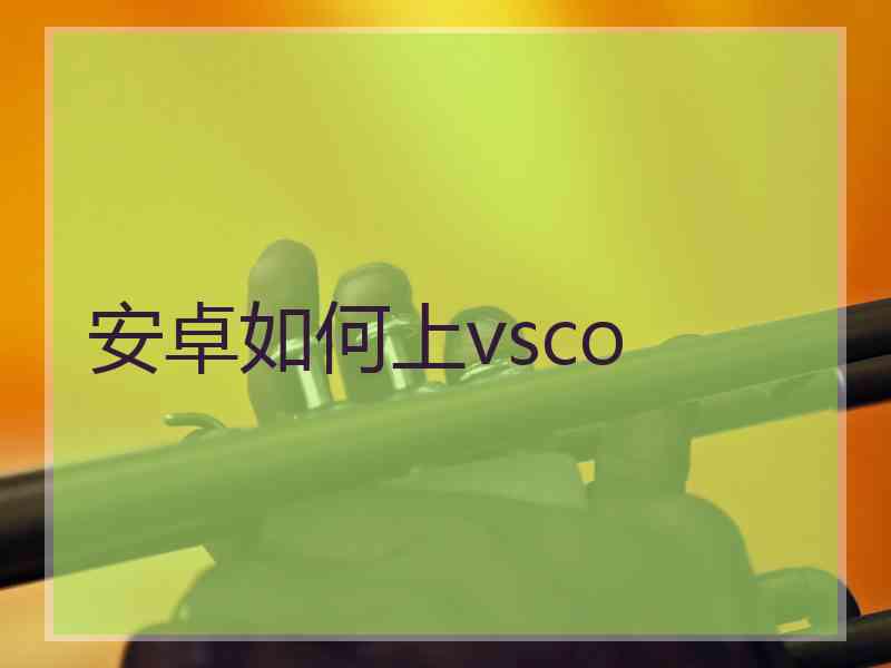 安卓如何上vsco