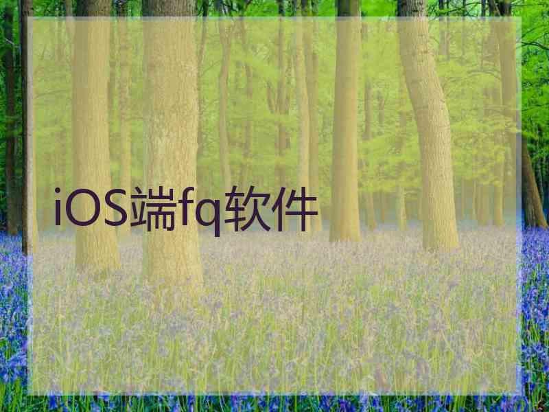 iOS端fq软件