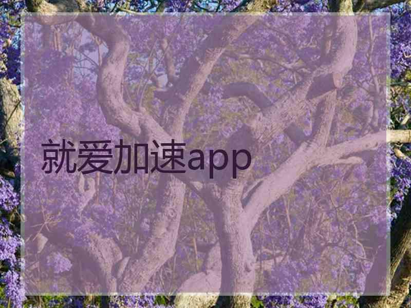 就爱加速app