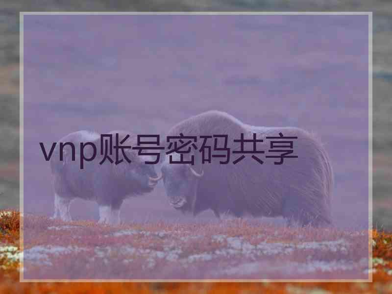 vnp账号密码共享