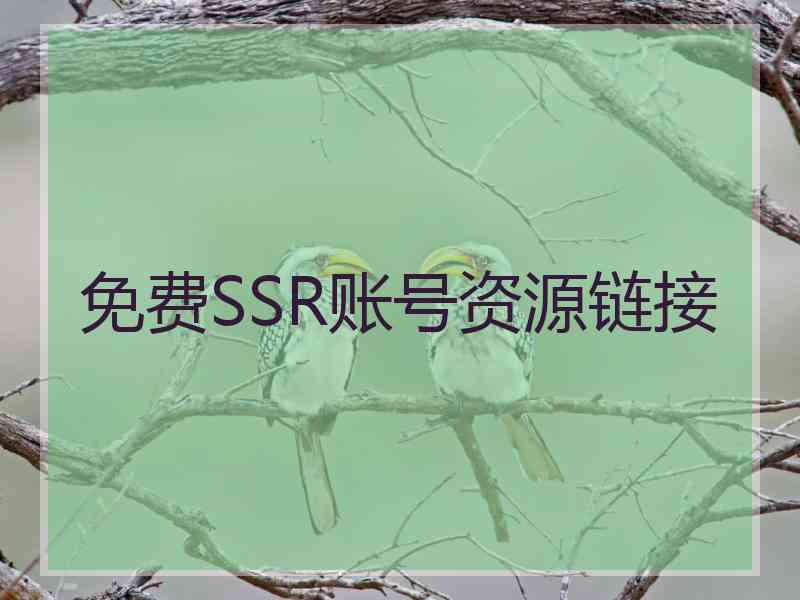 免费SSR账号资源链接