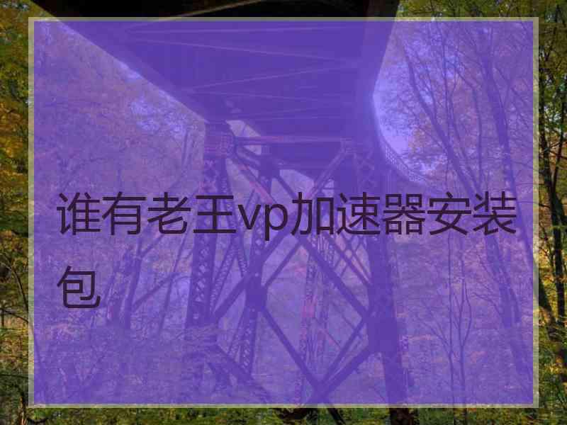 谁有老王vp加速器安装包