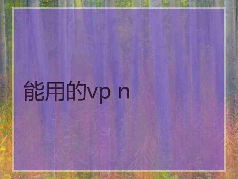 能用的vp n