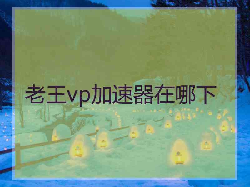 老王vp加速器在哪下