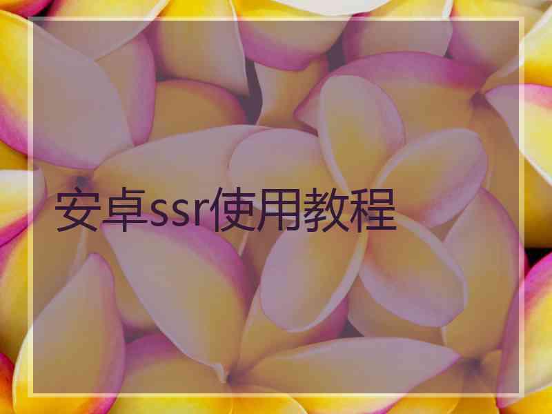 安卓ssr使用教程