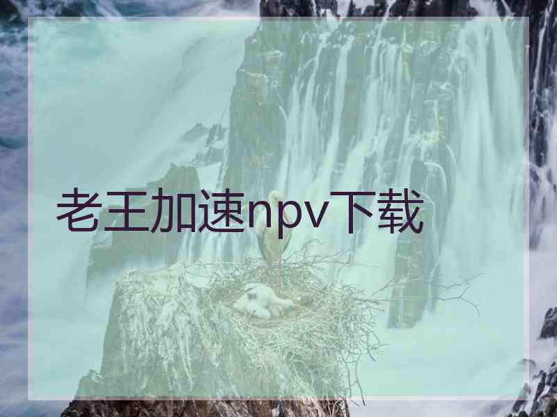 老王加速npv下载