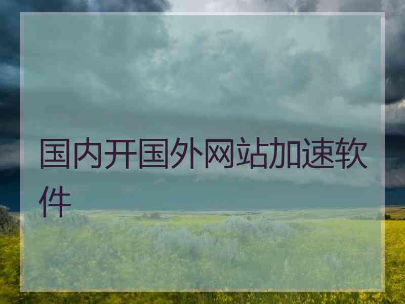 国内开国外网站加速软件