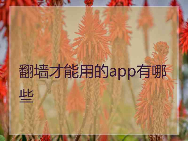 翻墙才能用的app有哪些