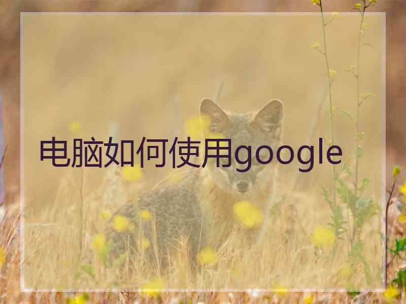 电脑如何使用google