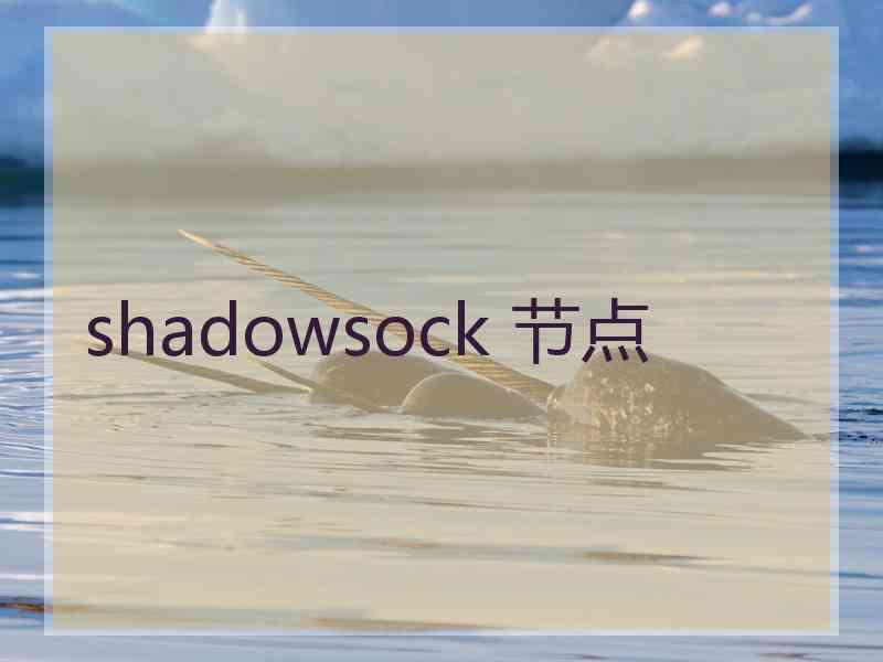 shadowsock 节点