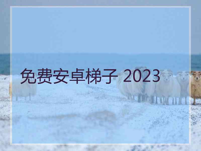 免费安卓梯子 2023