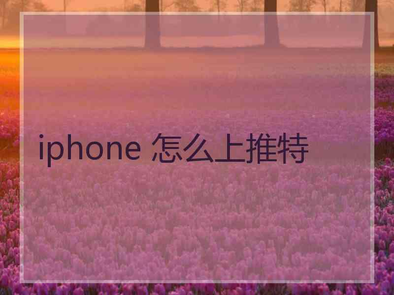 iphone 怎么上推特