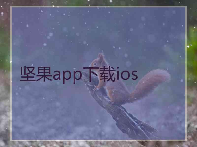 坚果app下载ios