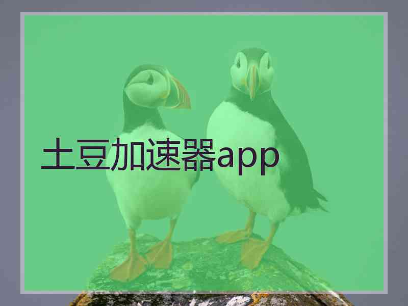 土豆加速器app