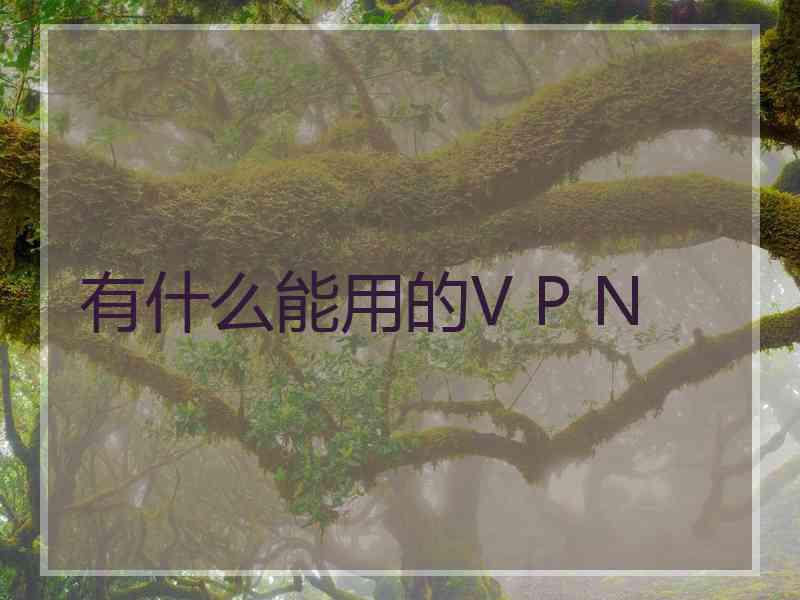 有什么能用的V P N