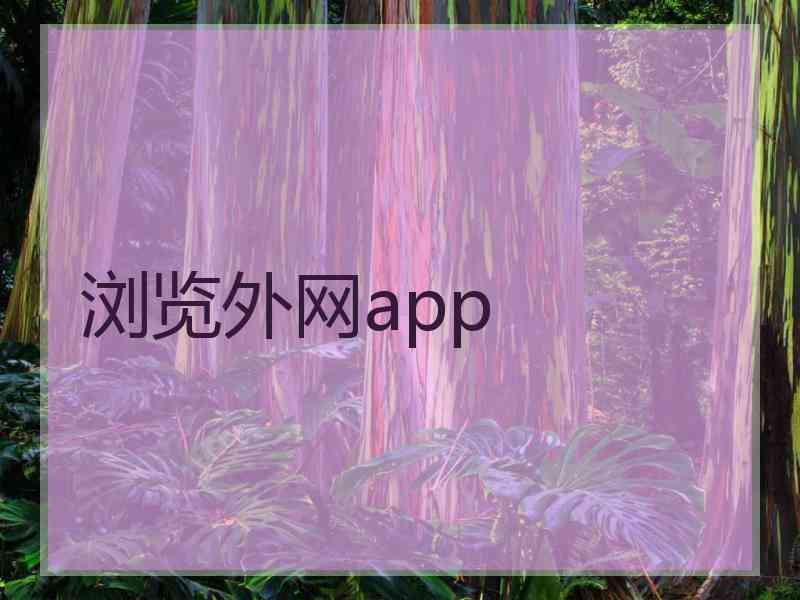 浏览外网app