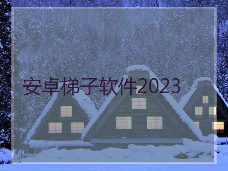 安卓梯子软件2023