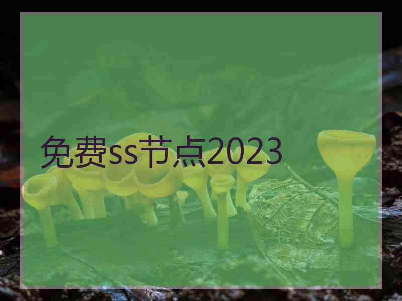 免费ss节点2023