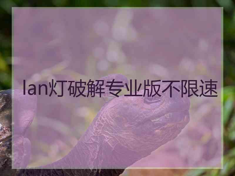 lan灯破解专业版不限速