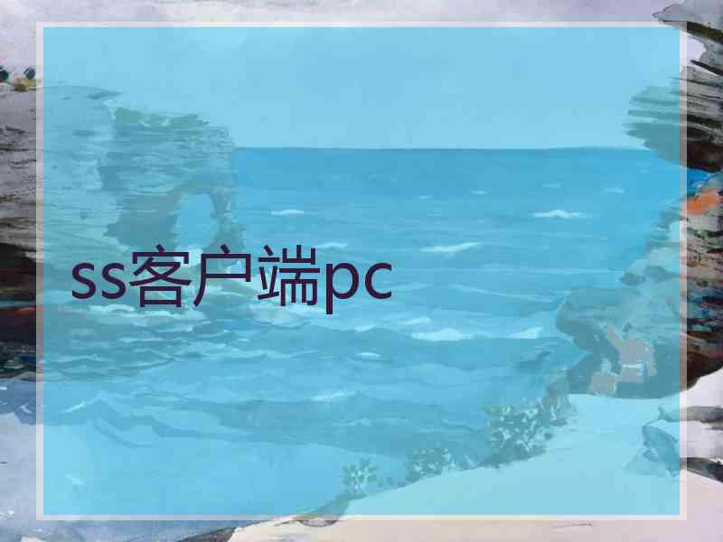 ss客户端pc